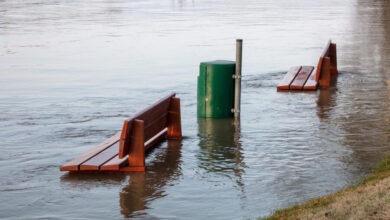 bench 6758067 1280 e1766135857256