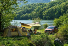 spring 4891823 1280 e1766226767186