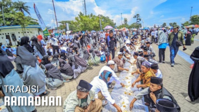 1ee88498 d7d9 446b 845d 003d9d64532d.jpg 1