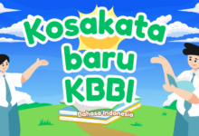 1ee88498 d7d9 446b 845d 003d9d64532d.jpg 2