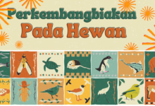 1ee88498 d7d9 446b 845d 003d9d64532d.jpg 5