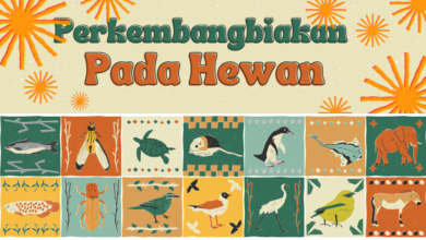 1ee88498 d7d9 446b 845d 003d9d64532d.jpg 5