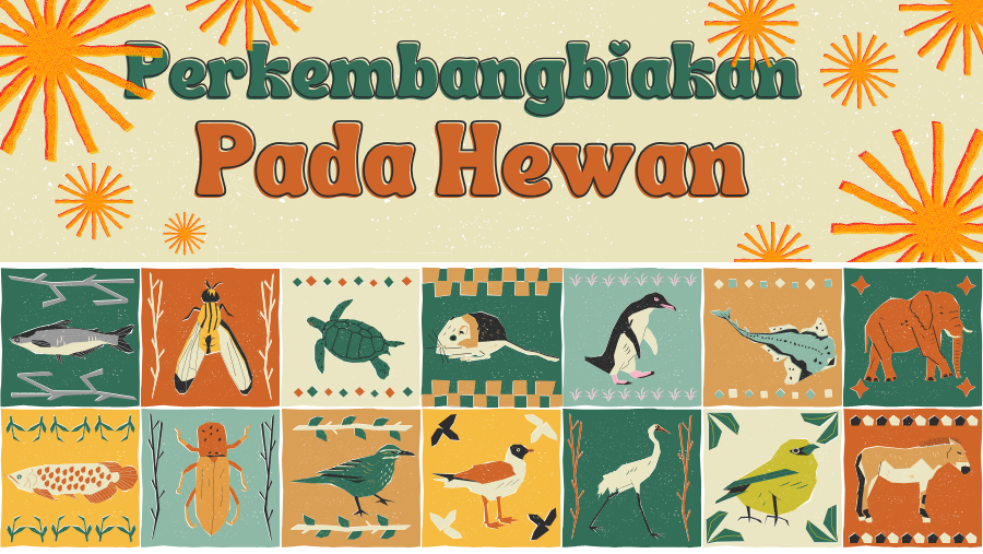 1ee88498 d7d9 446b 845d 003d9d64532d.jpg 5