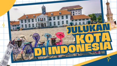 1ee88498 d7d9 446b 845d 003d9d64532d.jpg 6