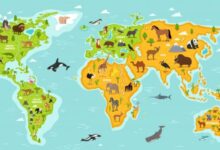 Peta Sebaran keanekaragaman hayati Dunia e1769091995539