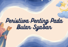 Program Ditjen Dikti