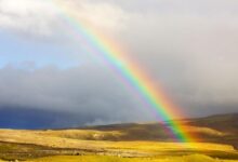 rainbow 7350780 1280 e1769610985730