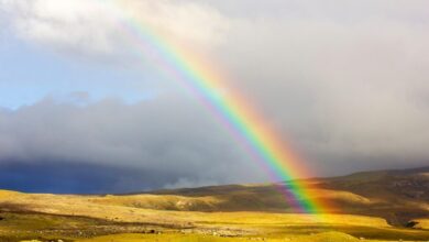 rainbow 7350780 1280 e1769610985730