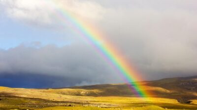 rainbow 7350780 1280 e1769610985730