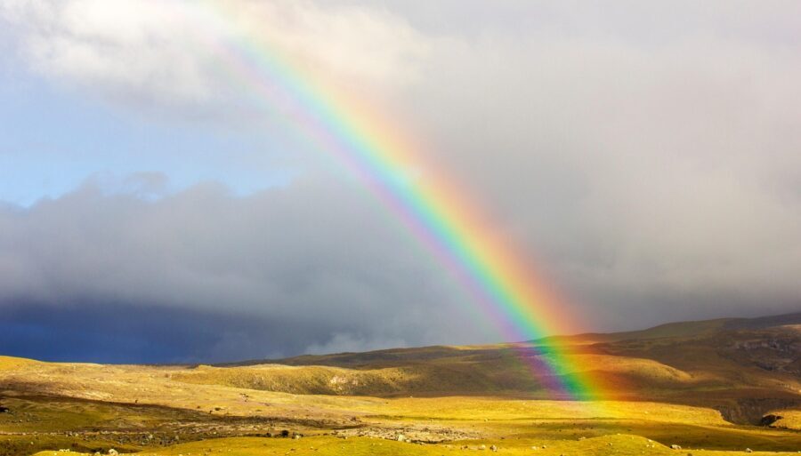 rainbow 7350780 1280 e1769610985730