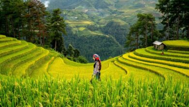 women 9114238 1280 e1768487988107