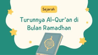 1ee88498 d7d9 446b 845d 003d9d64532d.jpg 1