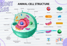 1ee88498 d7d9 446b 845d 003d9d64532d.jpg 12