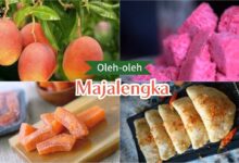 1ee88498 d7d9 446b 845d 003d9d64532d.jpg 2