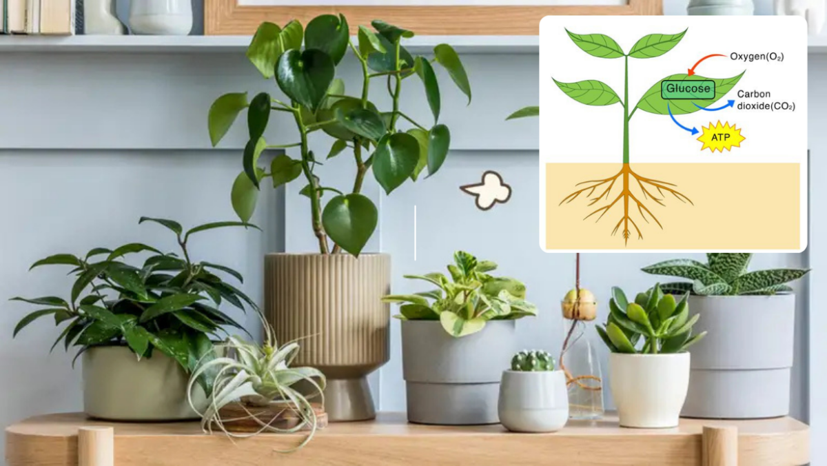 Wisata Candi 1 e1770014555961