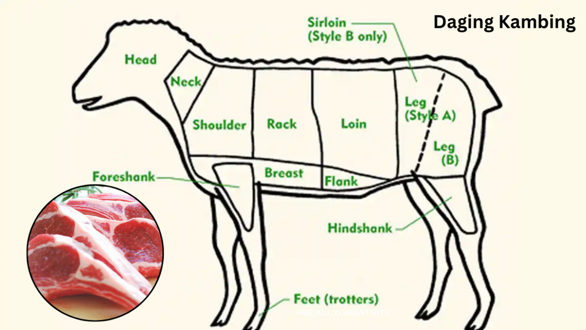 8 Bagian Daging Kambing Dan Olahannya Yang Tepat, Mana Favorit Kamu? 1 Wisata Candi 22 e1771600595627