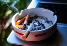 nobleprime cigarette 8547965 1280 e1770819310975