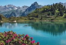 165106 truebsee 5337646 1280 e1774446440459