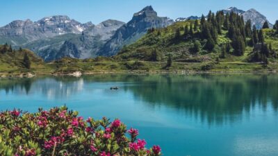 165106 truebsee 5337646 1280 e1774446440459