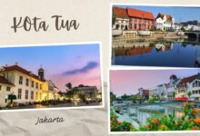 1ee88498 d7d9 446b 845d 003d9d64532d.jpg 10