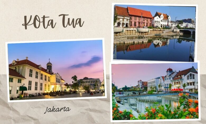 1ee88498 d7d9 446b 845d 003d9d64532d.jpg 10