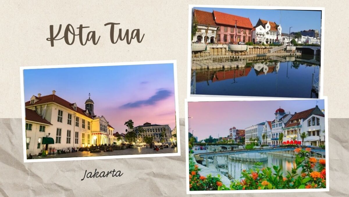 1ee88498 d7d9 446b 845d 003d9d64532d.jpg 10 e1772957339521