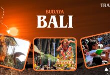 1ee88498 d7d9 446b 845d 003d9d64532d.jpg 12