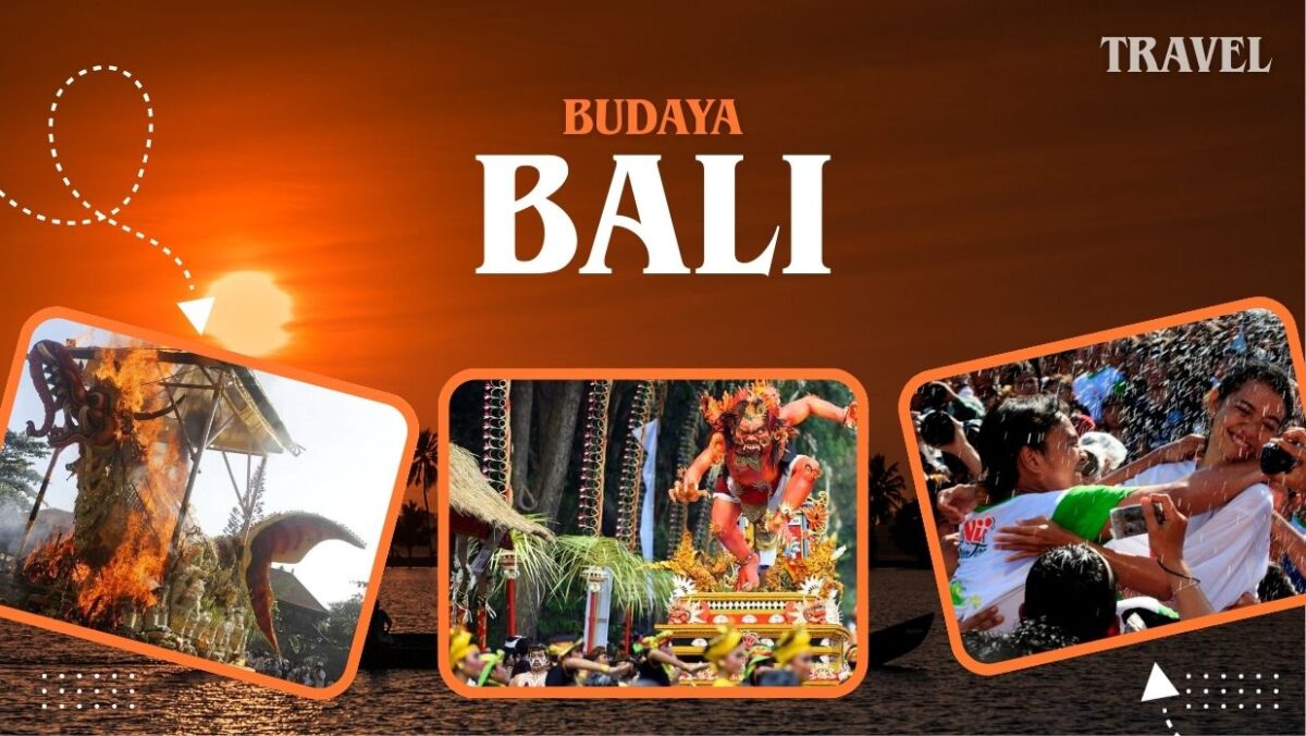 1ee88498 d7d9 446b 845d 003d9d64532d.jpg 12 e1773193464130