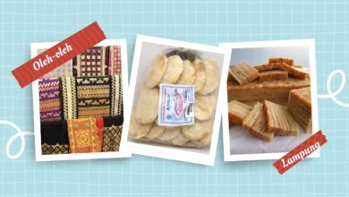 1ee88498 d7d9 446b 845d 003d9d64532d.jpg 21