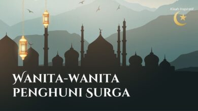 1ee88498 d7d9 446b 845d 003d9d64532d.jpg 25