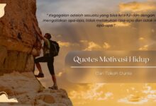 1ee88498 d7d9 446b 845d 003d9d64532d.jpg 31