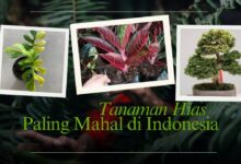 1ee88498 d7d9 446b 845d 003d9d64532d.jpg 33