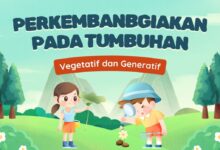 1ee88498 d7d9 446b 845d 003d9d64532d.jpg 4