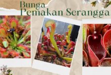 1ee88498 d7d9 446b 845d 003d9d64532d.jpg 7