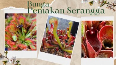 1ee88498 d7d9 446b 845d 003d9d64532d.jpg 7