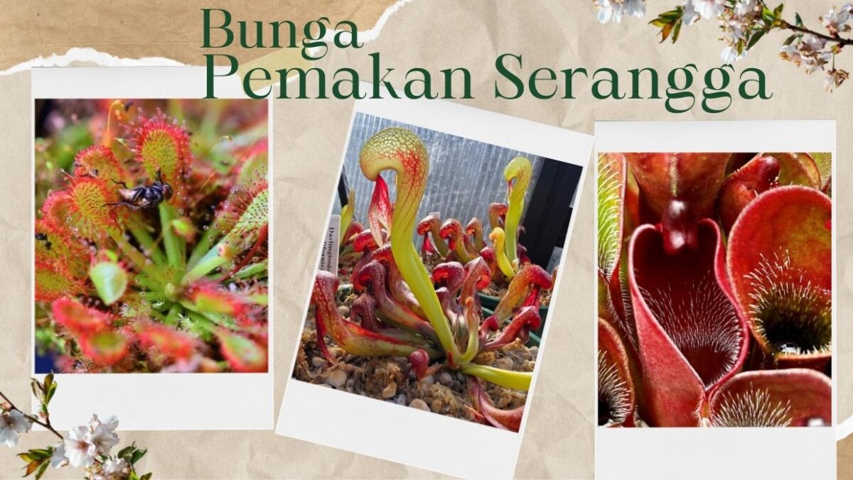 1ee88498 d7d9 446b 845d 003d9d64532d.jpg 7 e1772808040157