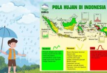 1ee88498 d7d9 446b 845d 003d9d64532d.jpg 8