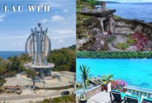 1ee88498 d7d9 446b 845d 003d9d64532d.jpg 36