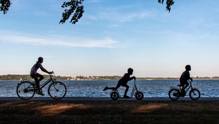 wal 172619 scooter 7396608 1280 e1776433483410